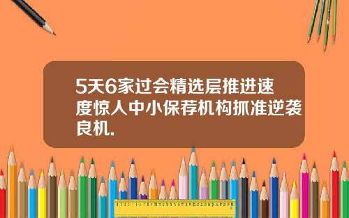 5天6家过会精选层推进速度惊人中小保荐机构抓准逆袭良机.