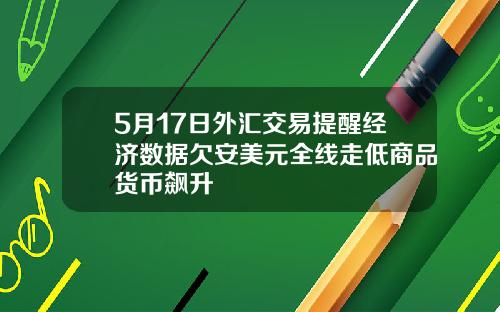 5月17日外汇交易提醒经济数据欠安美元全线走低商品货币飙升
