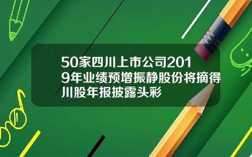 50家四川上市公司2019年业绩预增振静股份将摘得川股年报披露头彩