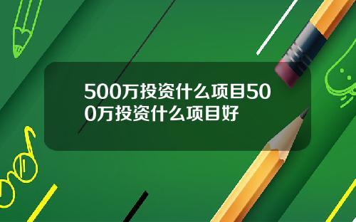 500万投资什么项目500万投资什么项目好