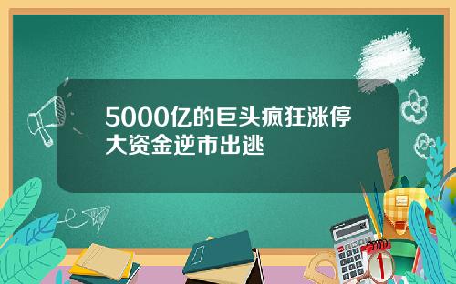 5000亿的巨头疯狂涨停大资金逆市出逃