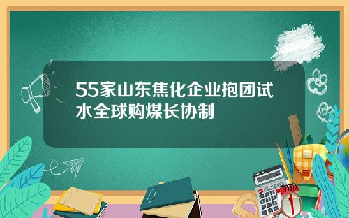 55家山东焦化企业抱团试水全球购煤长协制
