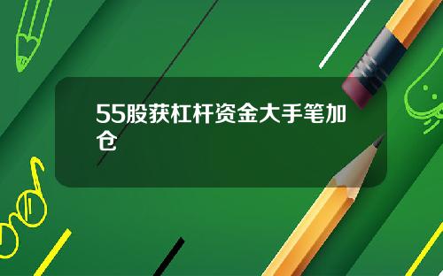 55股获杠杆资金大手笔加仓