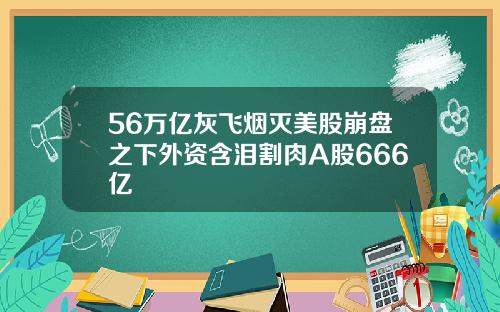 56万亿灰飞烟灭美股崩盘之下外资含泪割肉A股666亿