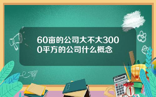 60亩的公司大不大3000平方的公司什么概念