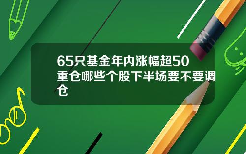 65只基金年内涨幅超50重仓哪些个股下半场要不要调仓