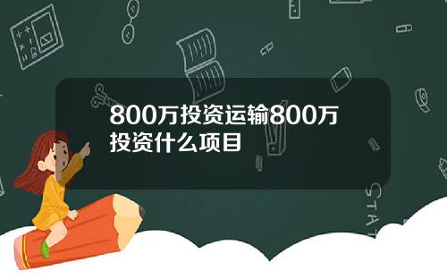 800万投资运输800万投资什么项目