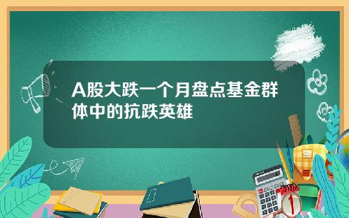 A股大跌一个月盘点基金群体中的抗跌英雄
