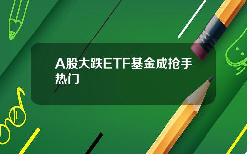 A股大跌ETF基金成抢手热门