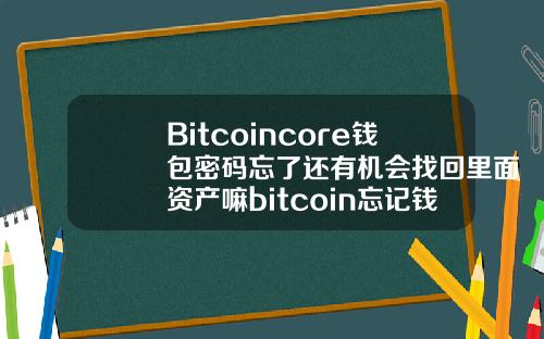 Bitcoincore钱包密码忘了还有机会找回里面资产嘛bitcoin忘记钱包密码