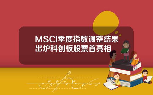 MSCI季度指数调整结果出炉科创板股票首亮相