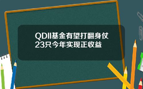 QDII基金有望打翻身仗23只今年实现正收益