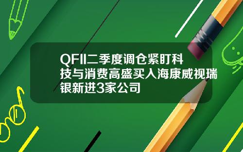 QFII二季度调仓紧盯科技与消费高盛买入海康威视瑞银新进3家公司