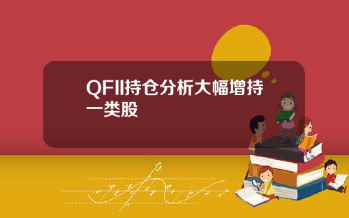 QFII持仓分析大幅增持一类股