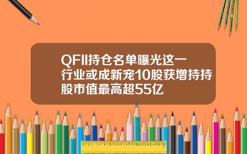 QFII持仓名单曝光这一行业或成新宠10股获增持持股市值最高超55亿