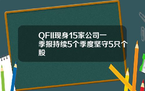 QFII现身15家公司一季报持续5个季度坚守5只个股