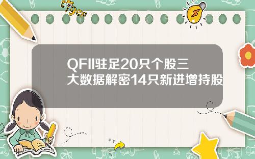 QFII驻足20只个股三大数据解密14只新进增持股