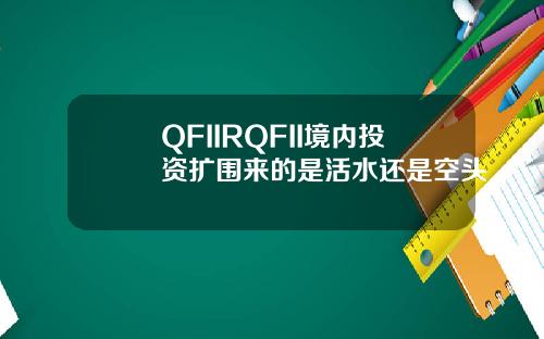 QFIIRQFII境内投资扩围来的是活水还是空头