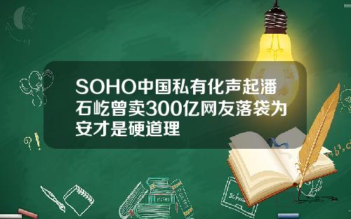 SOHO中国私有化声起潘石屹曾卖300亿网友落袋为安才是硬道理