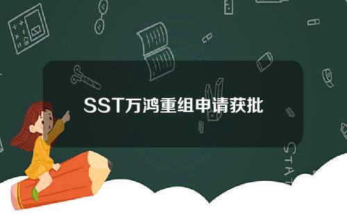 SST万鸿重组申请获批