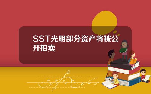 SST光明部分资产将被公开拍卖
