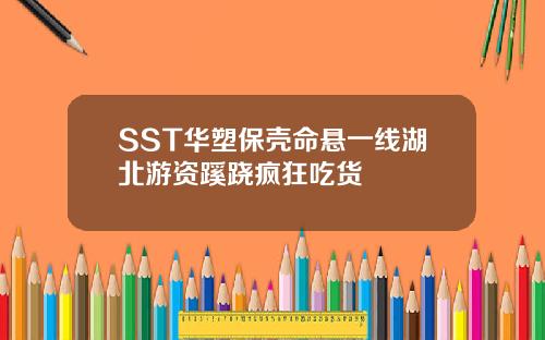 SST华塑保壳命悬一线湖北游资蹊跷疯狂吃货
