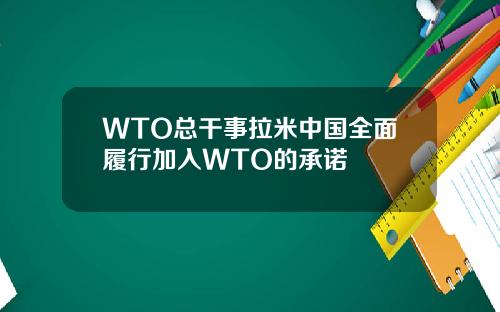 WTO总干事拉米中国全面履行加入WTO的承诺