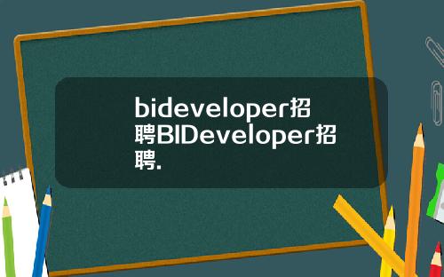 bideveloper招聘BIDeveloper招聘.