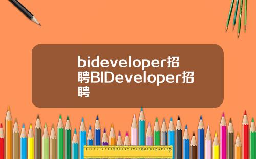 bideveloper招聘BIDeveloper招聘