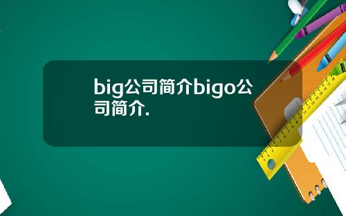 big公司简介bigo公司简介.