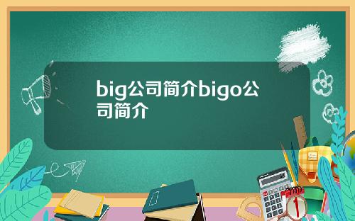 big公司简介bigo公司简介