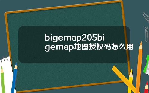 bigemap205bigemap地图授权码怎么用