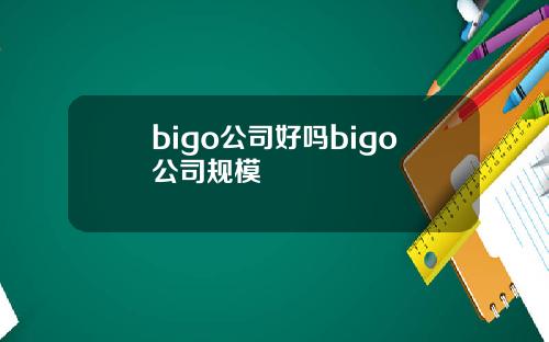 bigo公司好吗bigo公司规模