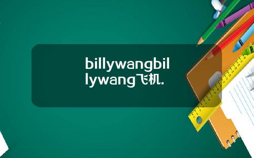 billywangbillywang飞机.
