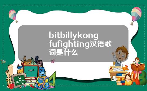 bitbillykongfufighting汉语歌词是什么