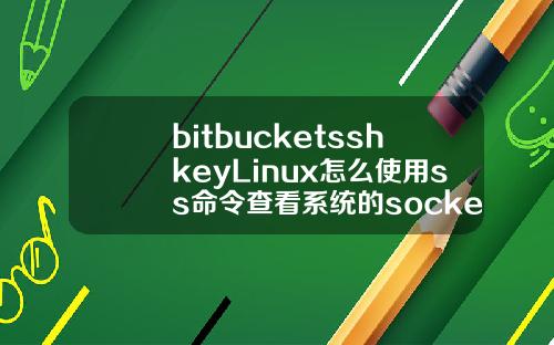 bitbucketsshkeyLinux怎么使用ss命令查看系统的socket状态