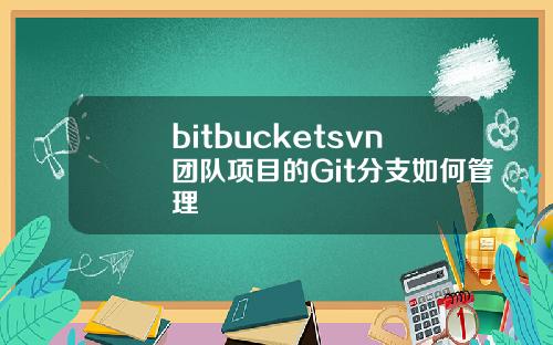 bitbucketsvn团队项目的Git分支如何管理