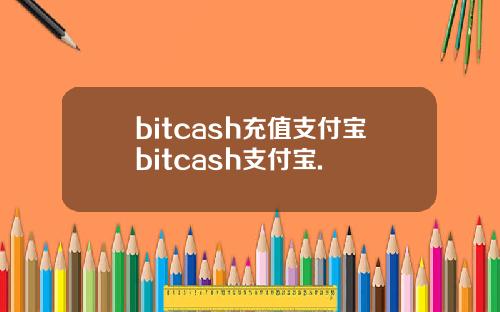 bitcash充值支付宝bitcash支付宝.