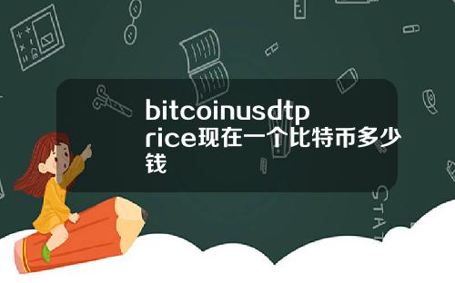 bitcoinusdtprice现在一个比特币多少钱