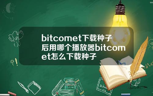 bitcomet下载种子后用哪个播放器bitcomet怎么下载种子