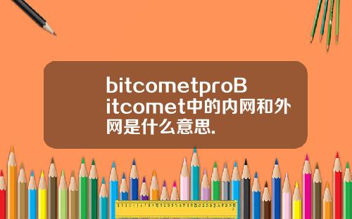 bitcometproBitcomet中的内网和外网是什么意思.