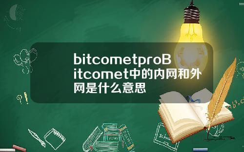 bitcometproBitcomet中的内网和外网是什么意思