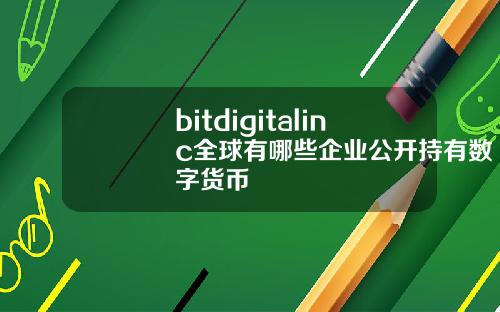bitdigitalinc全球有哪些企业公开持有数字货币