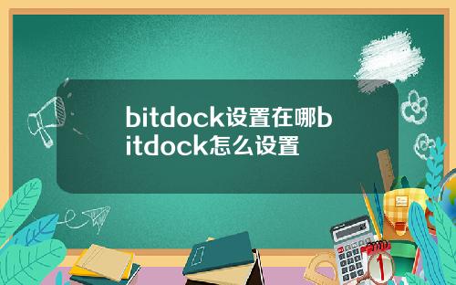 bitdock设置在哪bitdock怎么设置