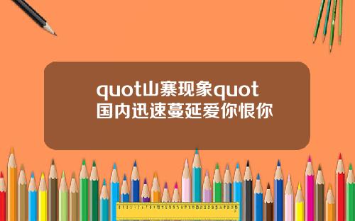 quot山寨现象quot国内迅速蔓延爱你恨你