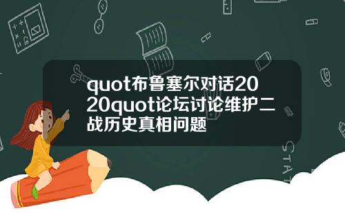 quot布鲁塞尔对话2020quot论坛讨论维护二战历史真相问题
