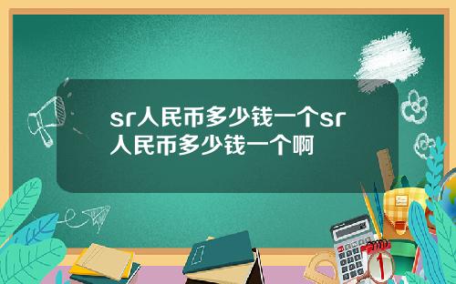 sr人民币多少钱一个sr人民币多少钱一个啊