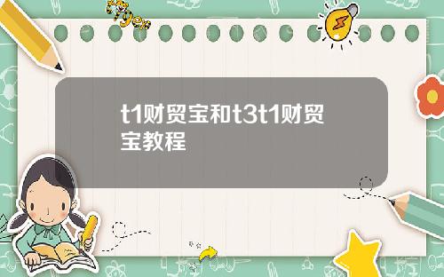 t1财贸宝和t3t1财贸宝教程