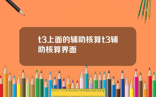 t3上面的辅助核算t3辅助核算界面