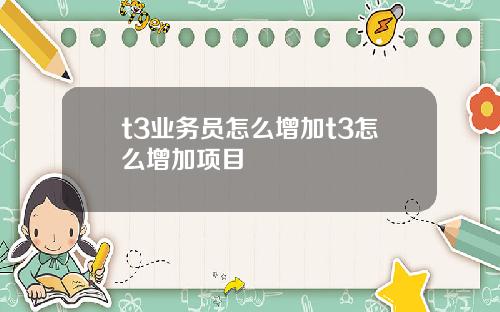 t3业务员怎么增加t3怎么增加项目